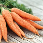Морковь оптом сорта: Шантоне,  Каратель