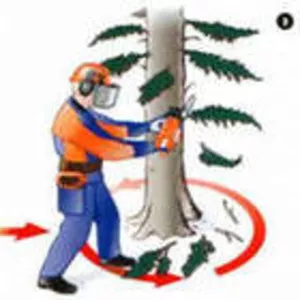 Спил(обрезка) деревьев,  распиловка дров в Феодосии 0955295046