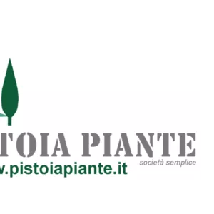 Итальянские декоративные растения Pistoia Piante.