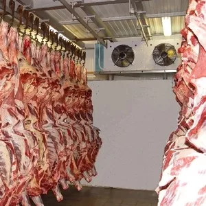 Холодильные камеры для заморозки и хранения мяса в Крыму. 