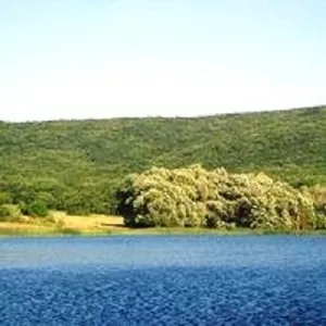 Прекрасный участок возле леса  в с. Гончарное. Севастополь