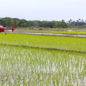Дрон для кроплення рису