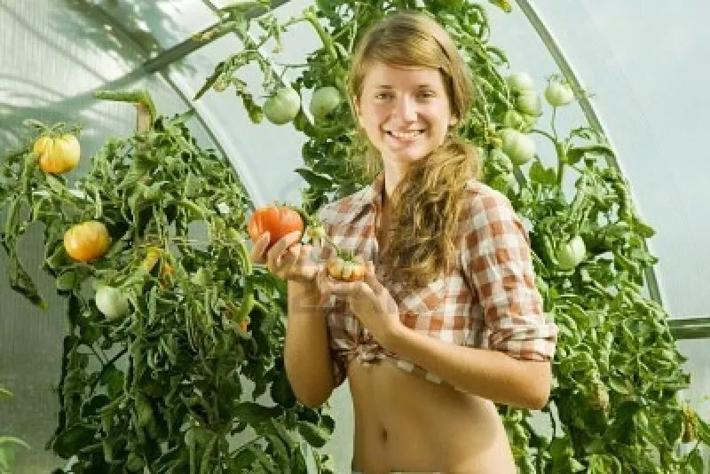ПОЛЬША - женщин на сбор помидоров